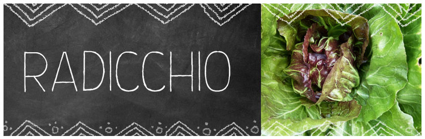 Recetas radicchio