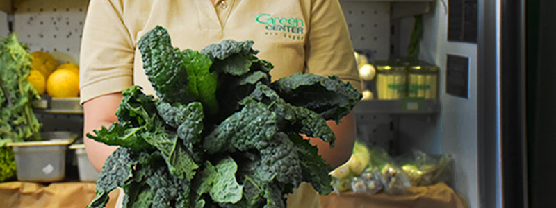 Frutas & Verduras
