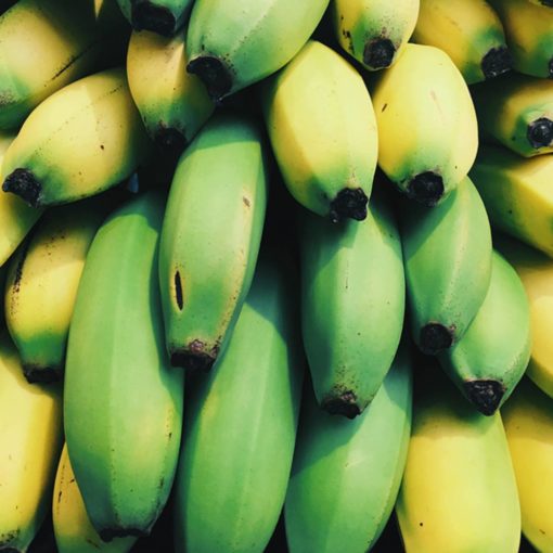 bananos orgánicos
