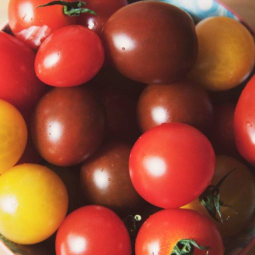 tomates orgánicos