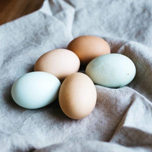 Huevos de pastoreo