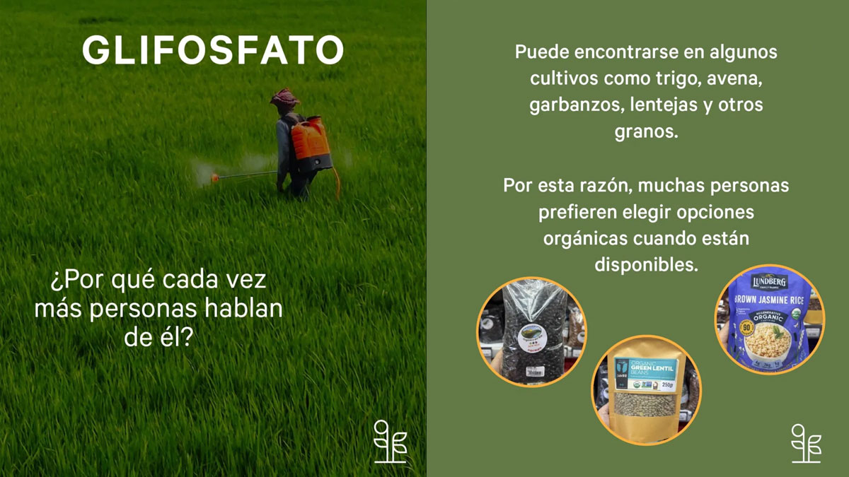 Glifosato: ¿por qué cada vez más personas hablan de él?
