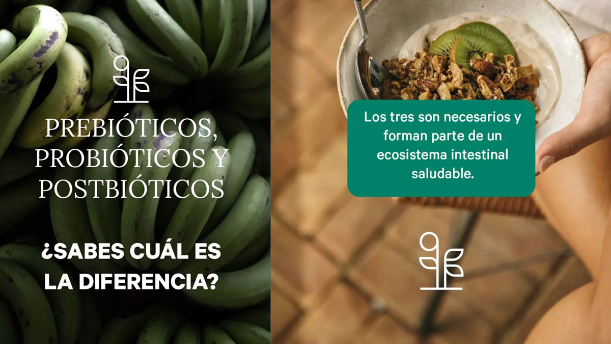 Prebióticos, probióticos y postbióticos: ¿sabés cuál es la diferencia?