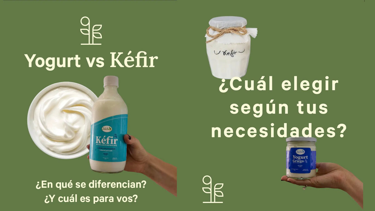 Yogurt vs. kéfir: ¿en qué se diferencian y cuál es para vos?